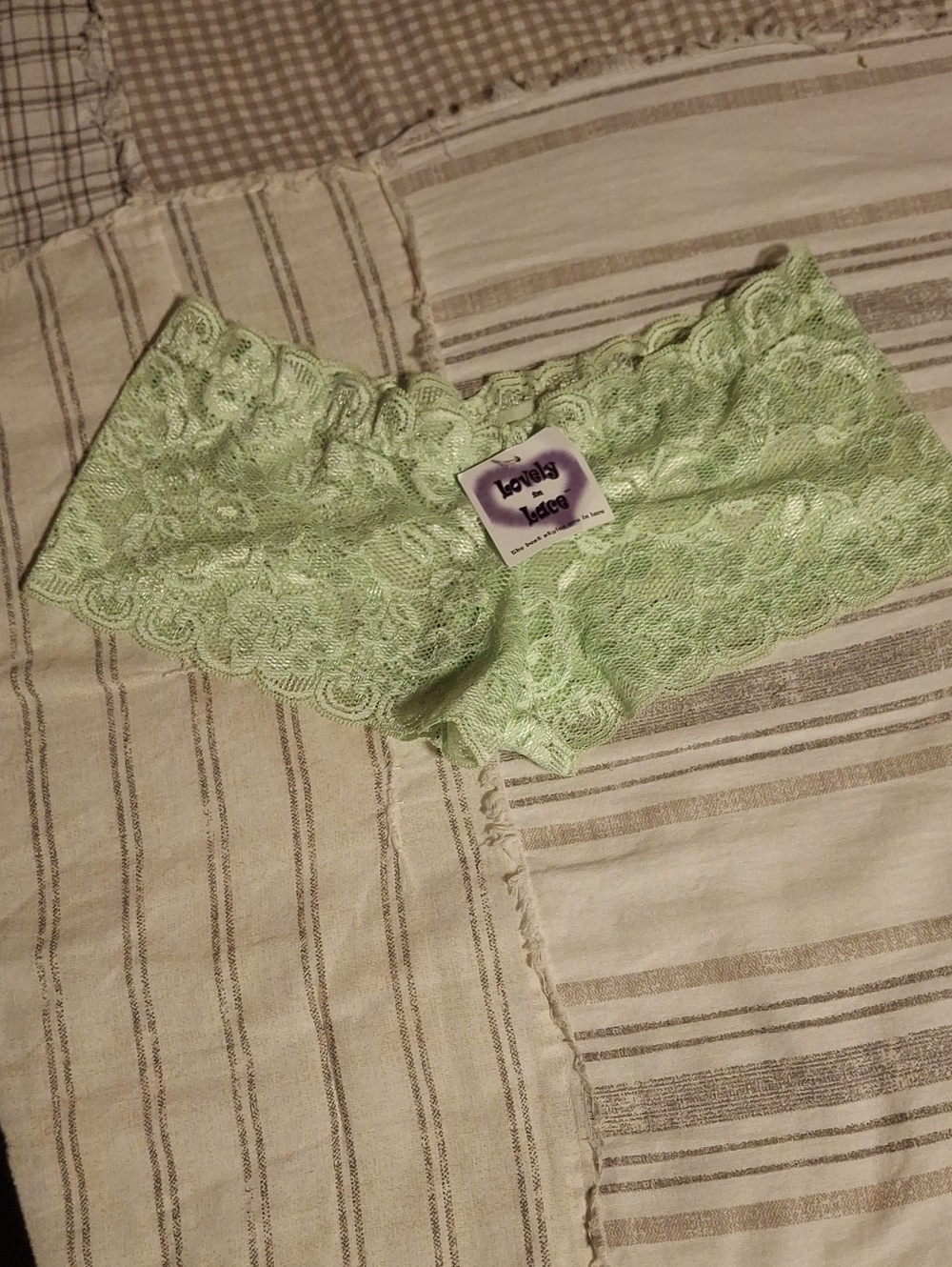 Lace Hipster Boyshorts in Soft Mint Green